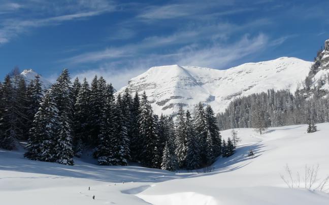Winter Landscape Wallpaper (80+ pictures)