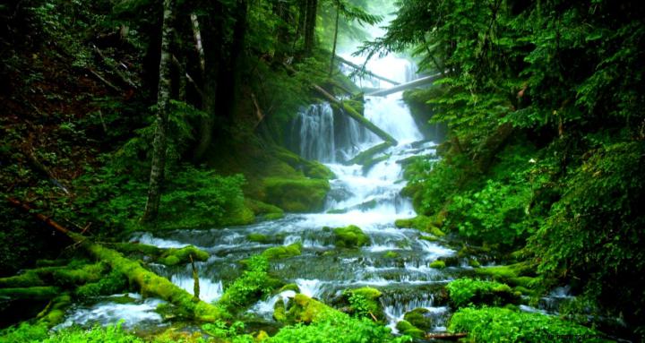 Waterfall Wallpaper 1920X1080 | Wallpapers Gallery