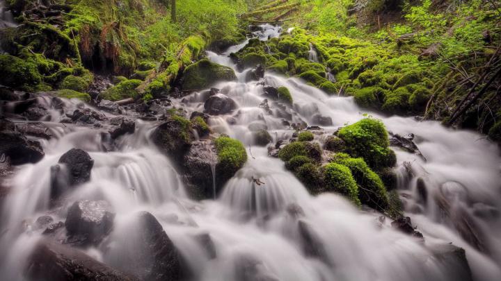 waterfall | Waterfall, Scenic views, Fairy falls trail