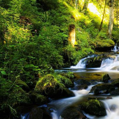 [44+] Free Waterfall Wallpaper 1920x1080 