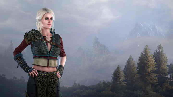 The Witcher 3: Wild Hunt Full HD Wallpaper and Background Image 