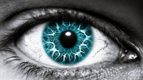 Beautiful Blue Eyes Wallpaper Desktop