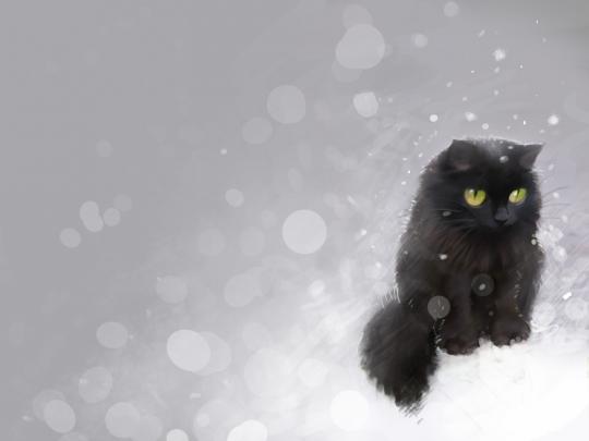 winter snow black cat 1600x1200 wallpaper \u2013 Animals Cats HD Desktop 