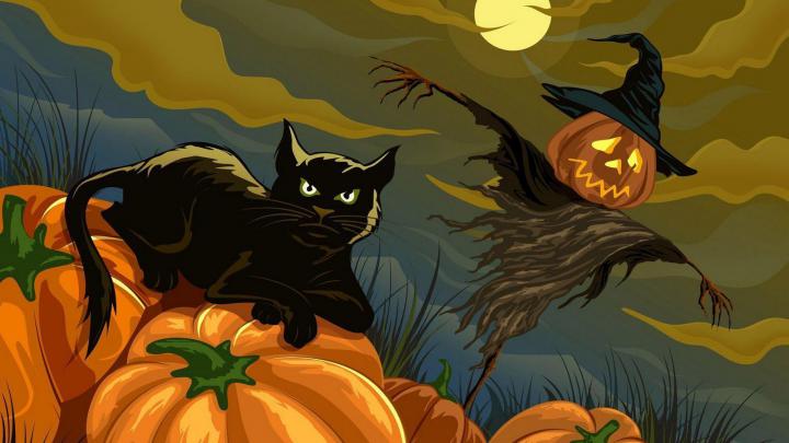 Halloween Cat Wallpapers