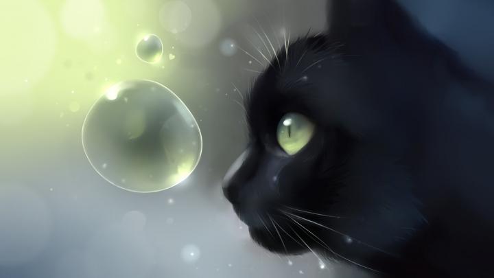 Anime Cat Desktop Wallpaper