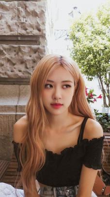 Rose Blackpink Wallpaper Hd Desktop