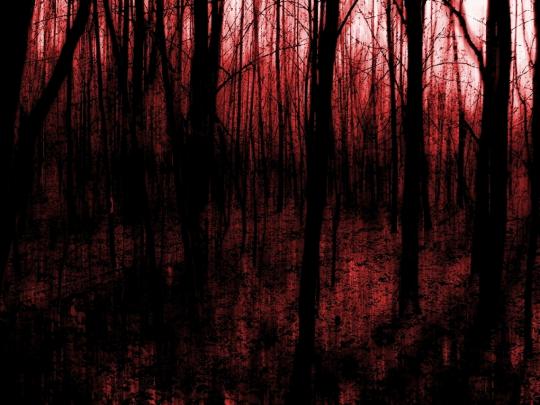 Bloody HD Wallpapers