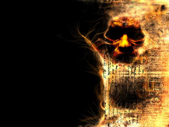 Scary Wallpaper - Bloody Flower | Scary Wallpapers
