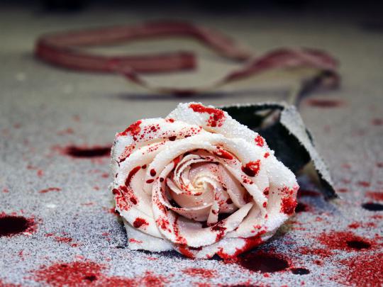 Bloody Rose Wallpapers