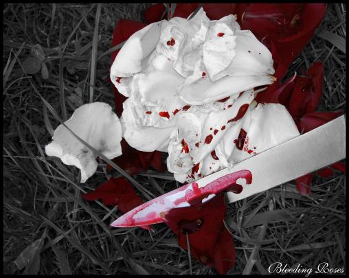 Bloody Rose Wallpaper (60+ images)