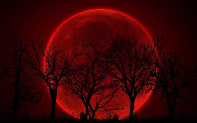 Free download Bloody Backgrounds [1920x1200] for your Desktop, Mobile 