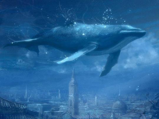 Blue Whale Wallpapers