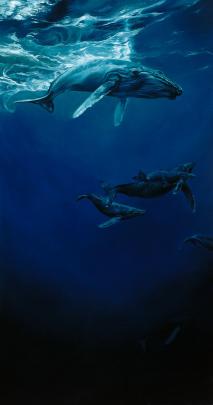 ocean, Animal, Cute, Blue, Deep, Whale Wallpapers HD \/ Desktop and 