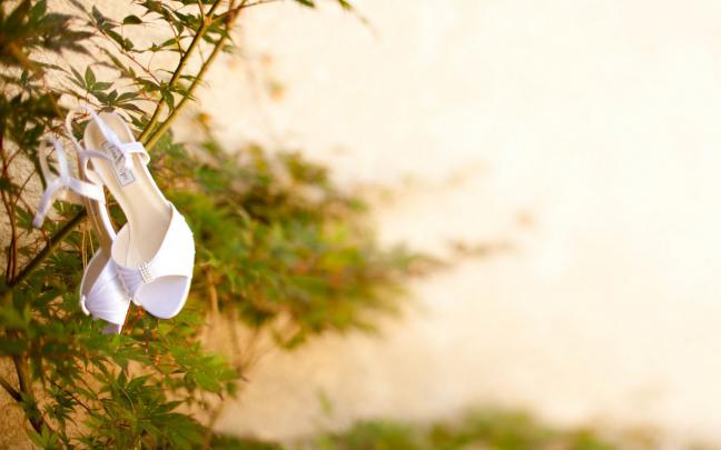 Wedding Wallpapers for Desktop -