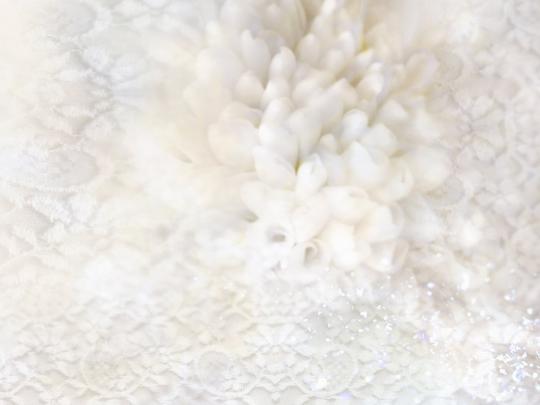 Free download Wedding background Wedding background wallpaper HD 