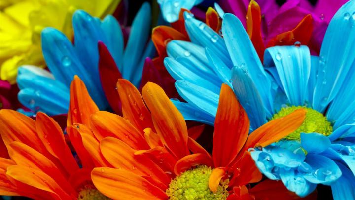 Bright Colorful Wallpapers