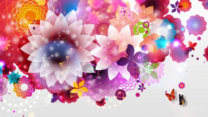 Bright flower wallpaper - beautiful desktop wallpapers 2014