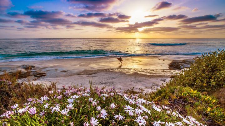 California Beach Wallpapers