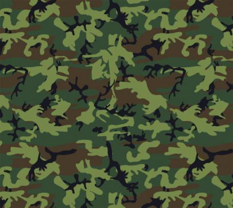 Camouflage Desktop Wallpapers
