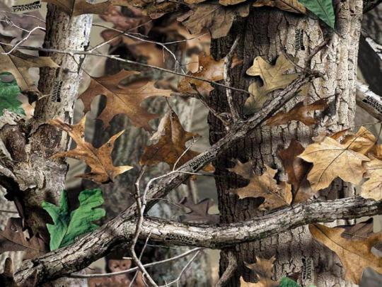 Camo Computer Wallpapers