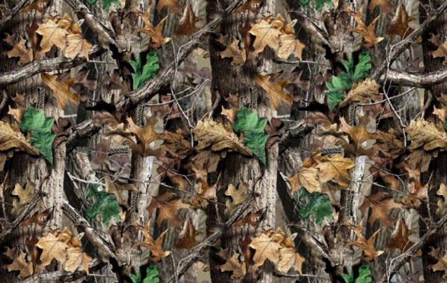 Download Realtree Camo Wallpaper For Walls Gallery