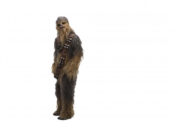 Chewbacca In Solo A Star Wars Story Movie 2018, HD Movies, 4k 