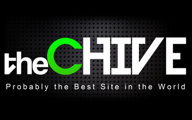 Desktop Wallpaper The Chive -