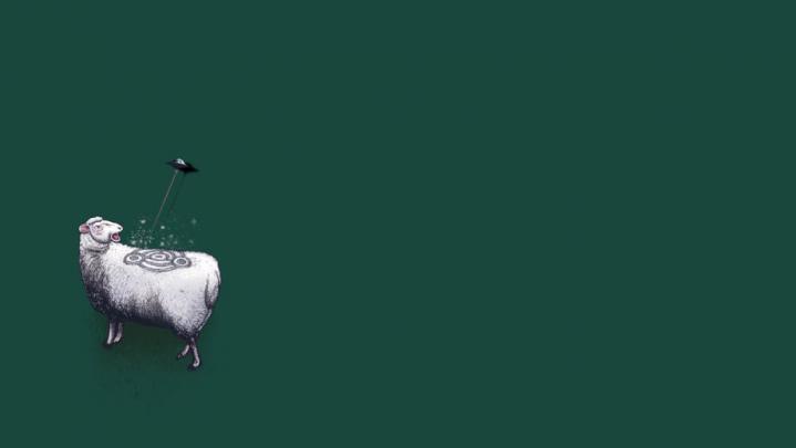 [50+] Desktop Wallpaper The Chive 