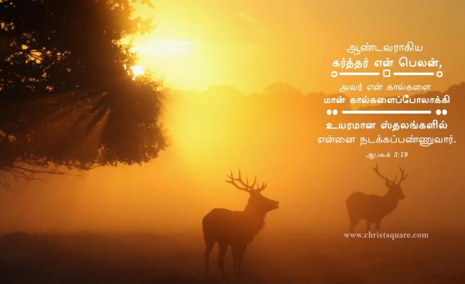 Jesus Wallpapers with Bible Verses \u00b7\u2460 