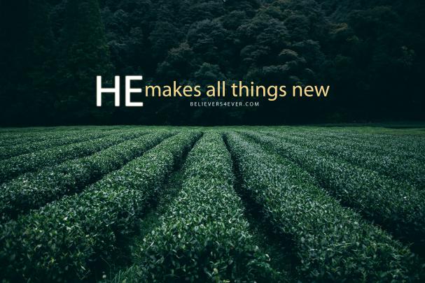 Inspirational Bible Verses Wallpaper (45+ images)