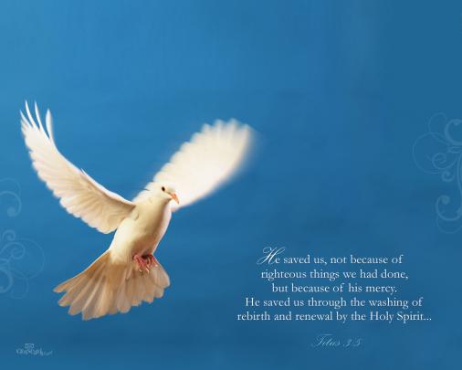 Download HD Christmas \u0026 New Year 2018 Bible Verse Greetings Card 