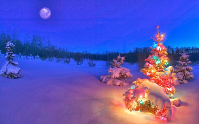 Free download Snowy Night Background HD Wallpapers Blog [1600x1000] for 