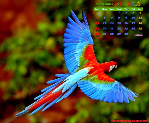 Desktop Wallpaper Hd Clock Calendar Free Download | Zoom Wallpapers
