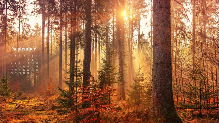 September Calendar Wallpaper - 38 Best Desktop \u0026 Phone Backgrounds