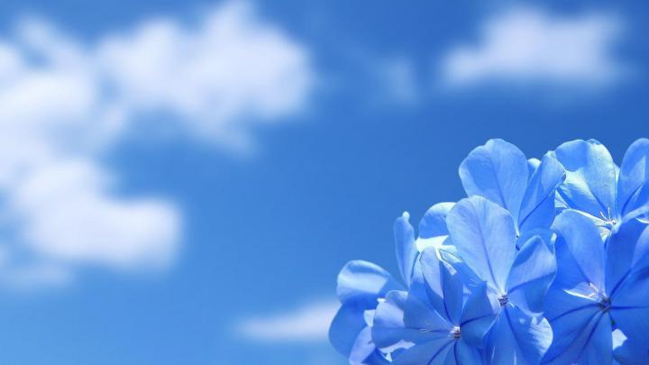 Full Size HD Wallpapers For PC