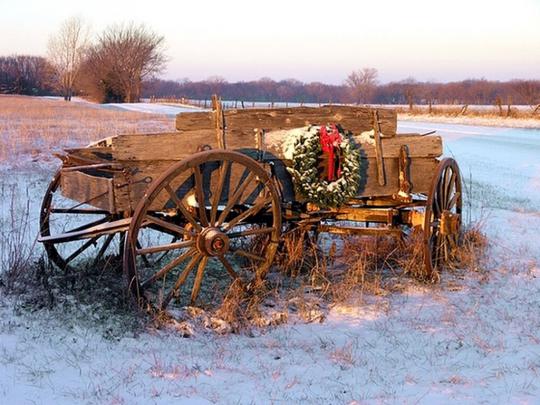 Southern Christmas Wallpaper -