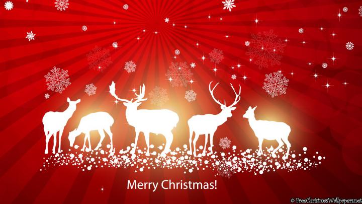 Country Merry Christmas 1600x900 - Wallpaper - FreeChristmasWallpapers.net