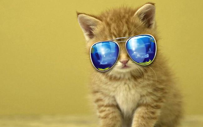 Cute Cat Backgrounds \u00b7\u2460 