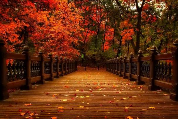 November wallpaper \u00b7\u2460 Download free awesome HD backgrounds for desktop 