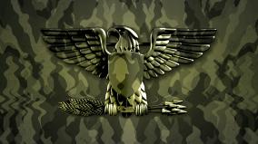 Camouflage Desktop Wallpaper