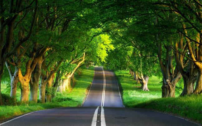 Wallpapers Nature Full Size Desktop 2017
