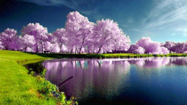 Wallpapers Nature Full Size Desktop 2016