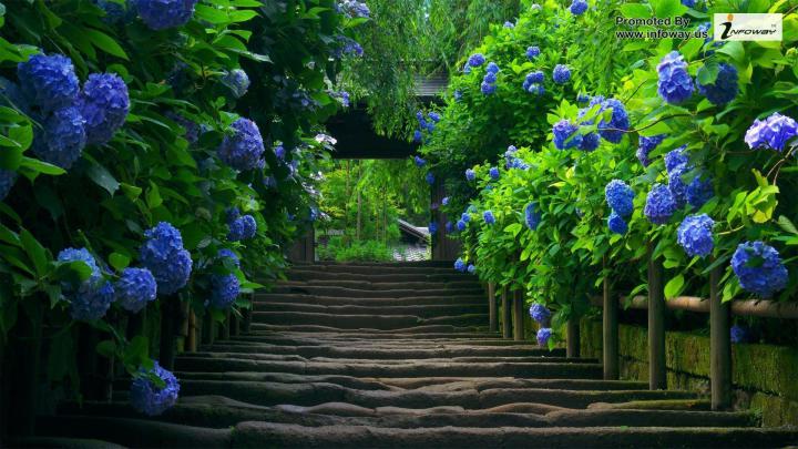 Wallpapers Nature Full Size Desktop 2015