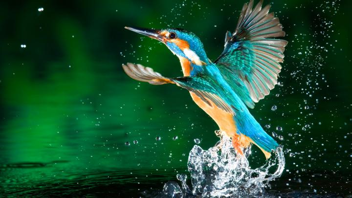 Full hd wallpapers 1920x1080 free download - SF Wallpaper
