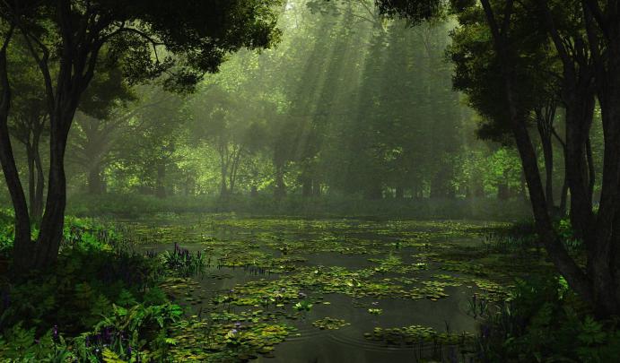 Wallpapers Nature Full Size Desktop 2015