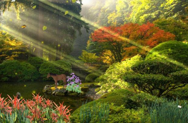 Wallpapers Nature Full Size Desktop 2015