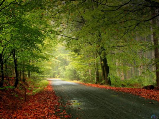 nature desktop wallpapers full size |Desktop Wallpapers
