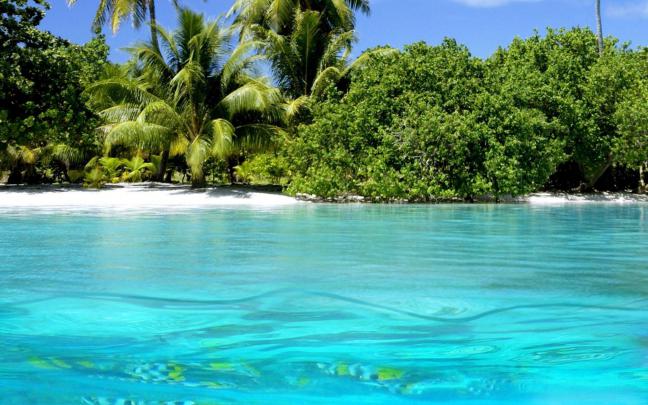 Wallpapers Nature Full Size Desktop 2015