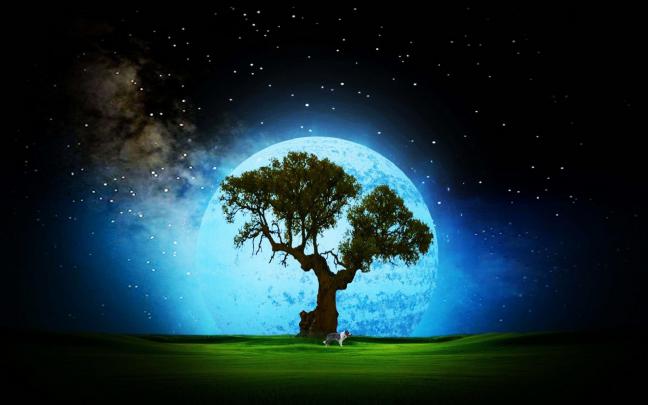 Good Desktop Backgrounds (72+ pictures)