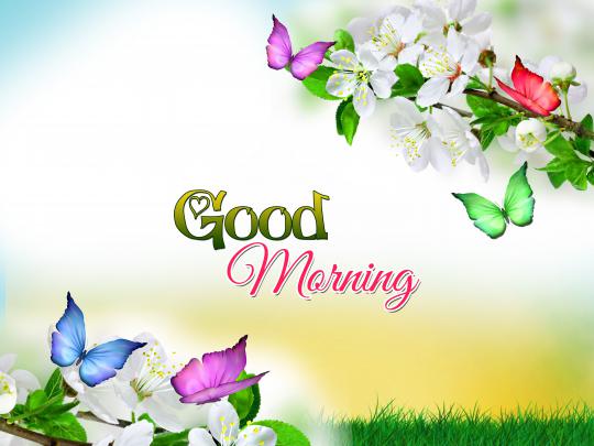Good Morning HD Desktop Wallpapers